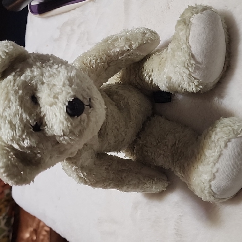 THE BOYDS  COLLECTION  LTD. 🐻 BEAR.  PREOWNED!!